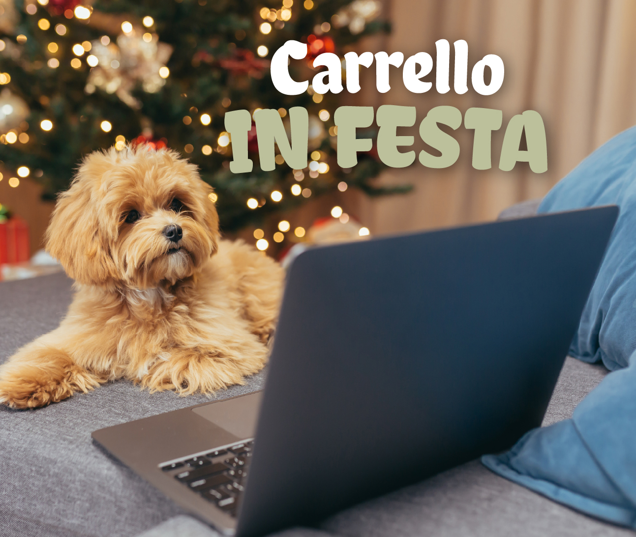 -5% sull'intero ordine!