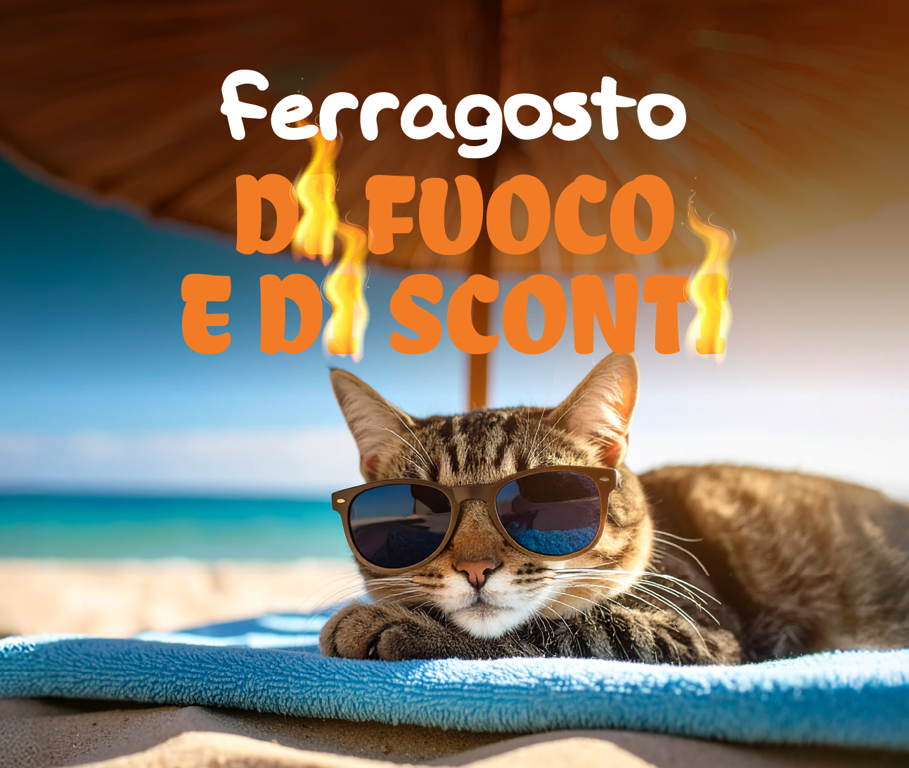 -5€ su tutto!