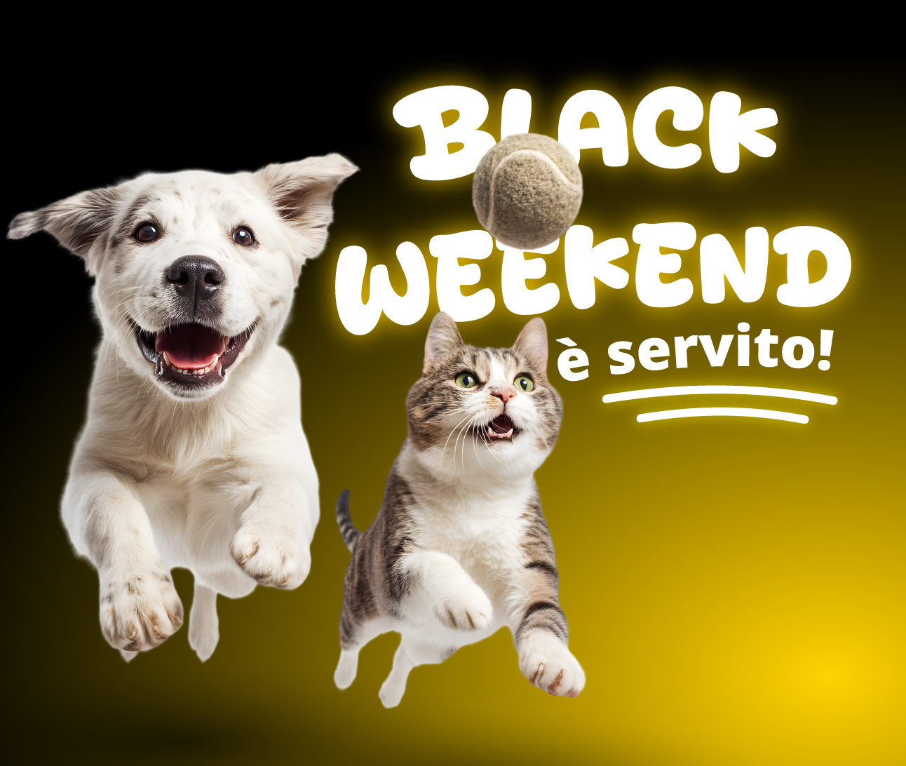 Fino a -9€ di sconto!