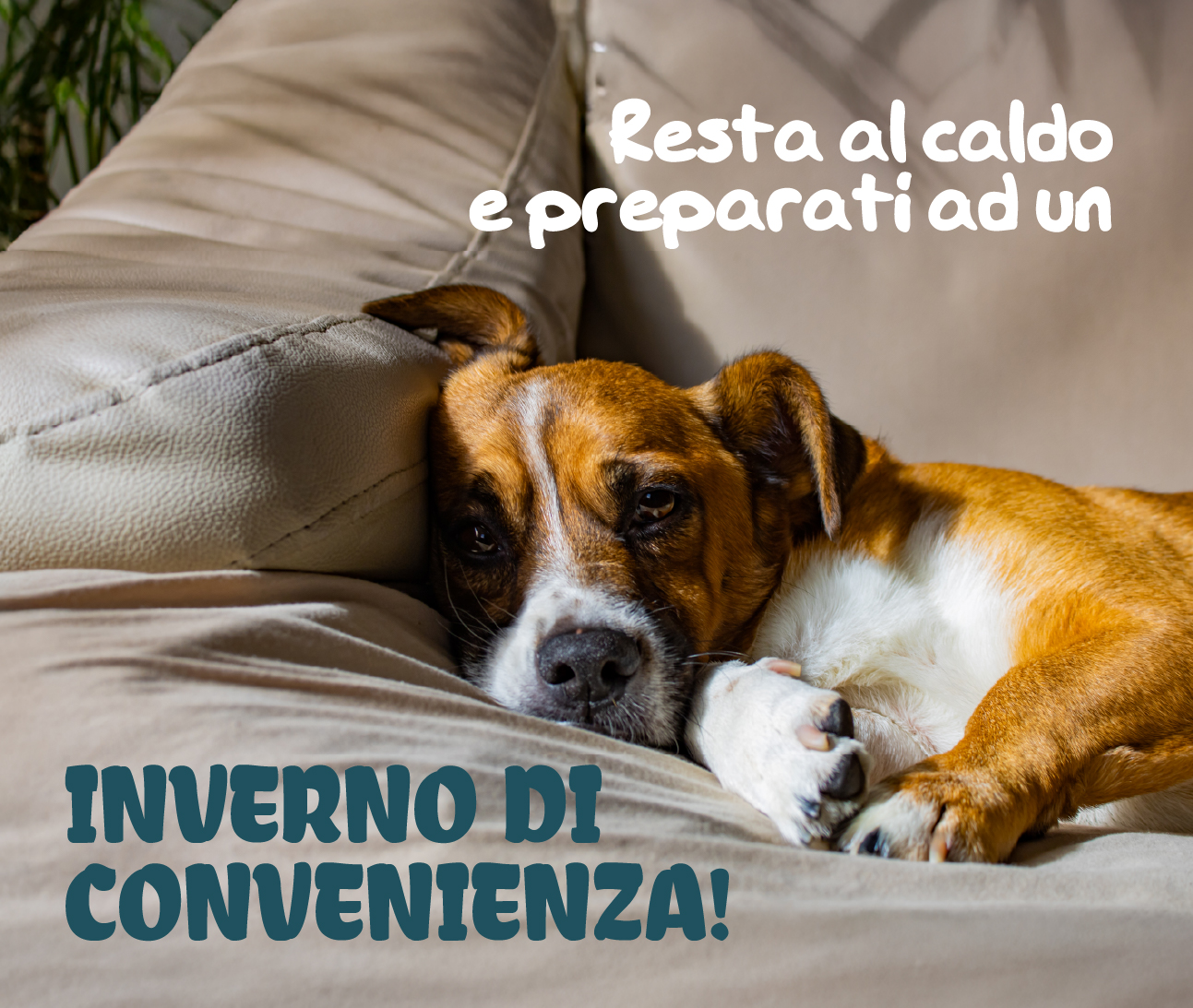 Promo scorta! -5%