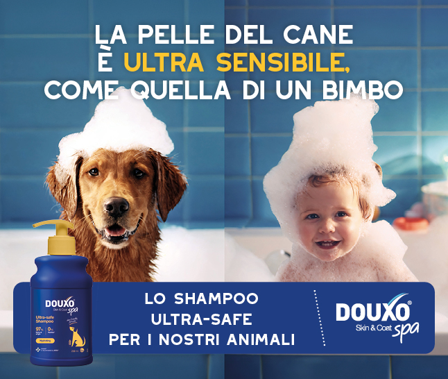 Scopri la novità: Douxo!