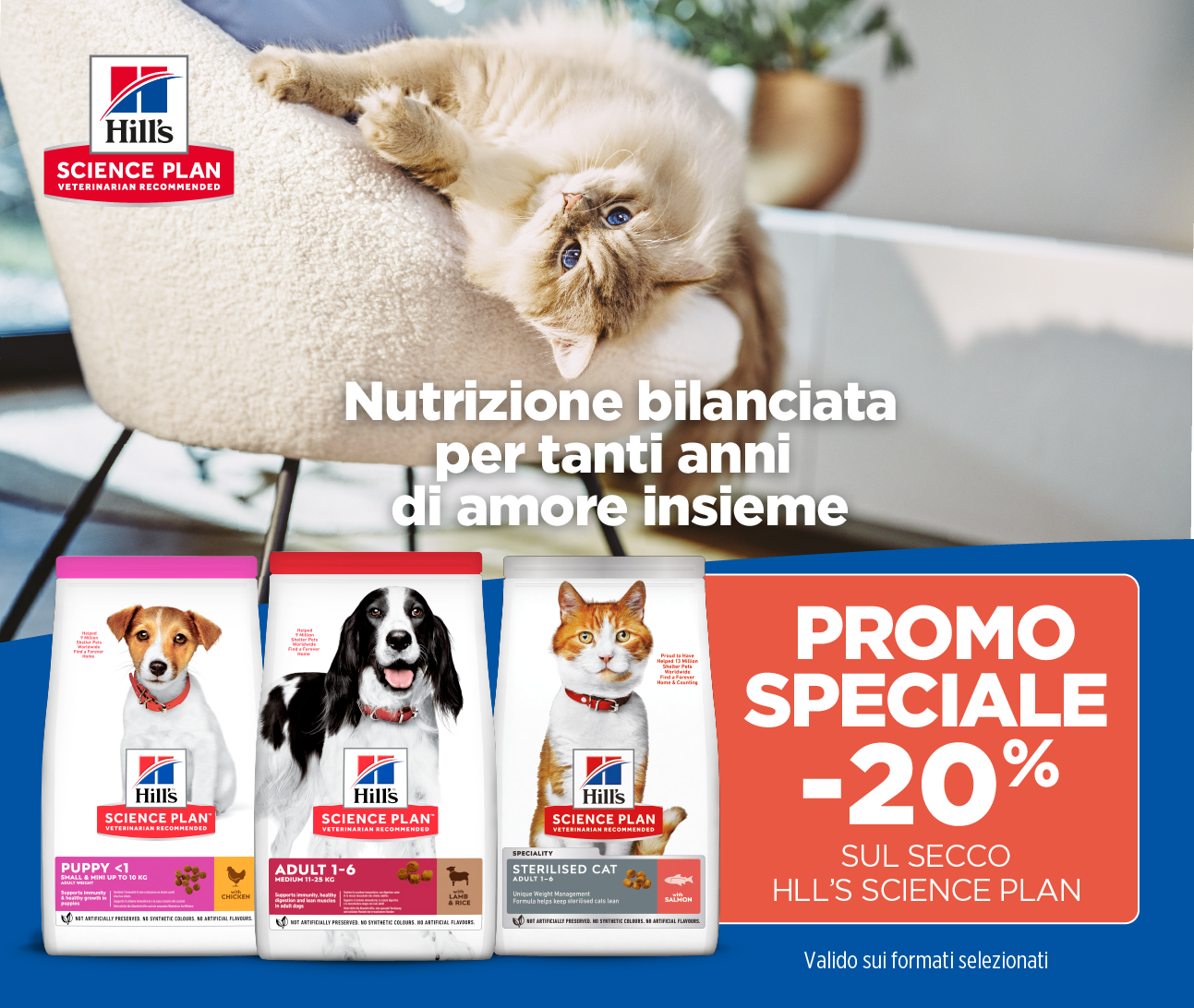 Hill's in promo!