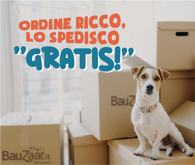 Spedizione GRATIS!