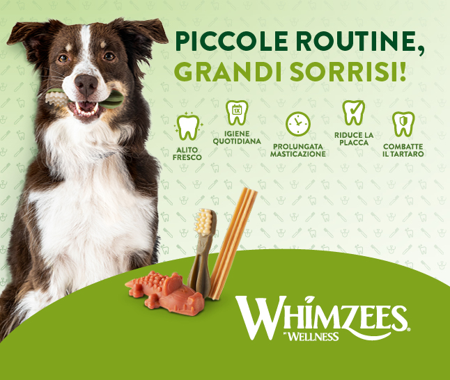 Whimzees: sorrisi a 42 denti!