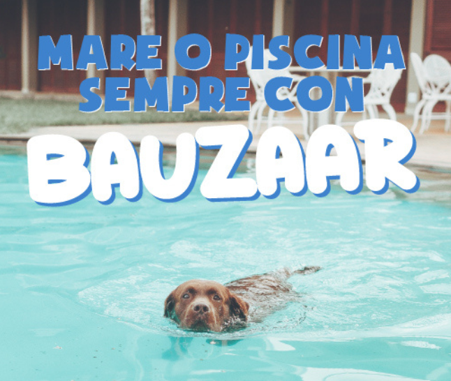 Estate a 4zampe!