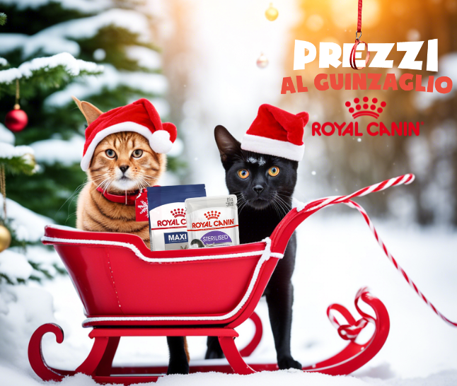 Royal Canin in promo