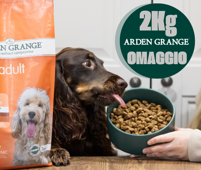 12+2kg OMAGGIO!
