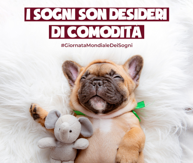 5% di Extra sconto