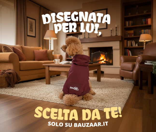 Novità Bauzaar!