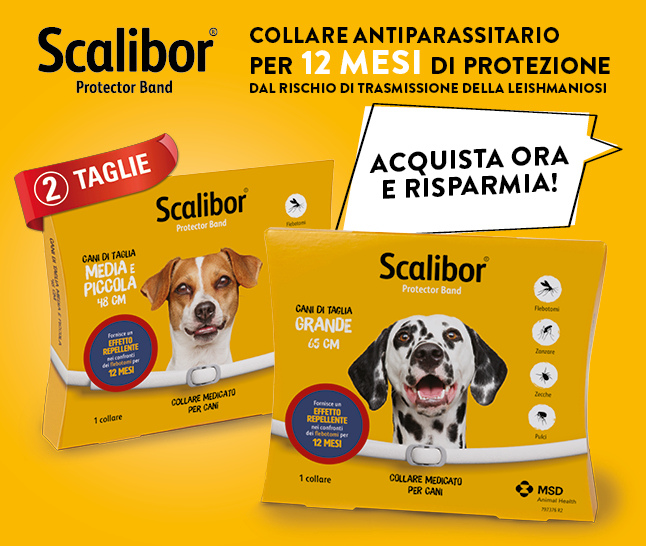 Proteggilo con Scalibor!