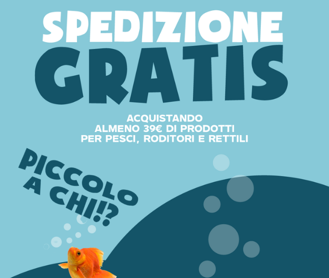 Piccoli animali, accorrete!