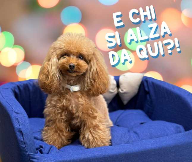 5% sull'intero carrello