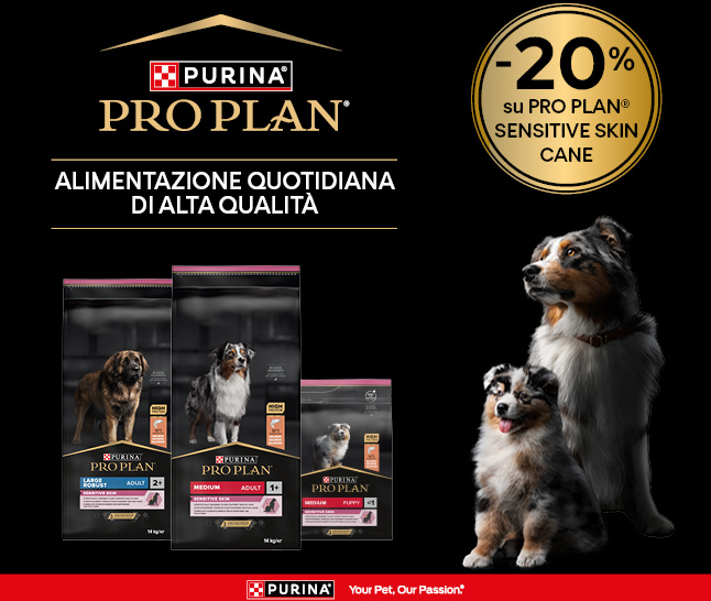 Promo Pro Plan®!