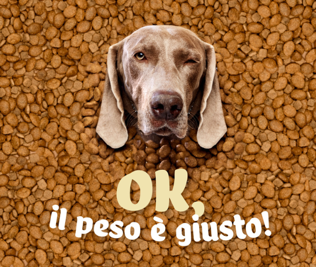 5% di Extra sconto!