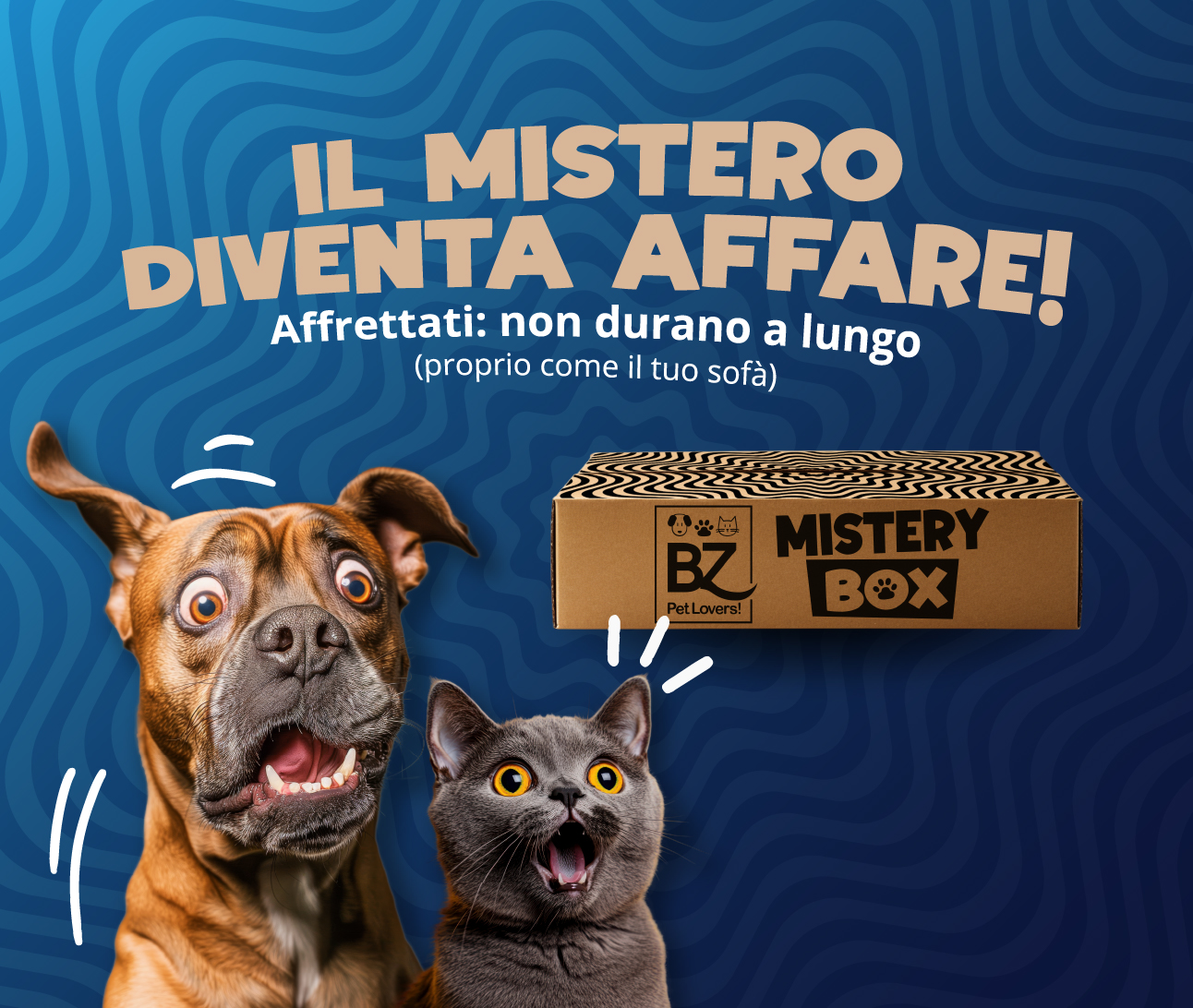 Mistery Box