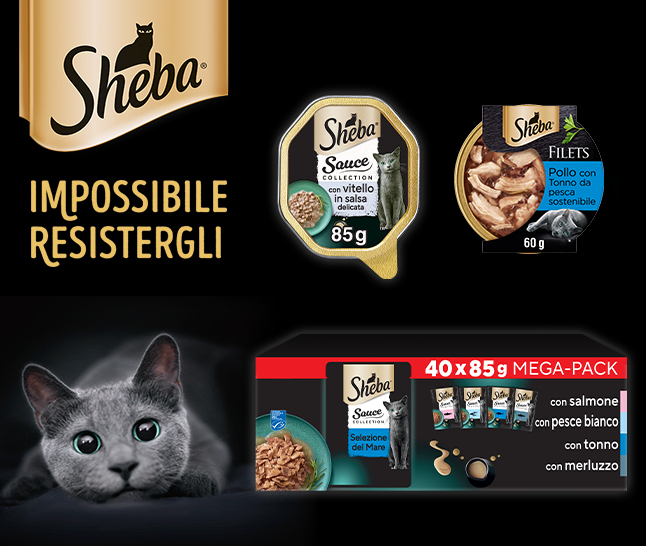 Fai il pieno di fffusa!