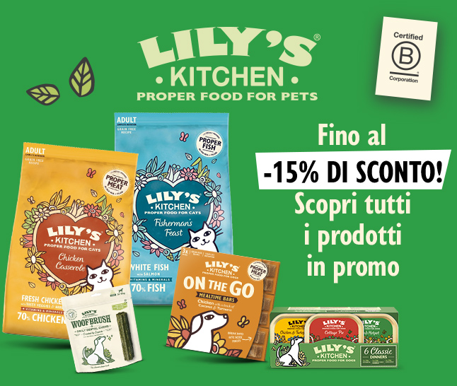 Lily's Kitchen in promo!