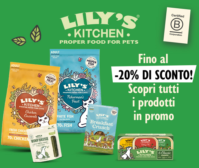Lily's Kitchen in promo!