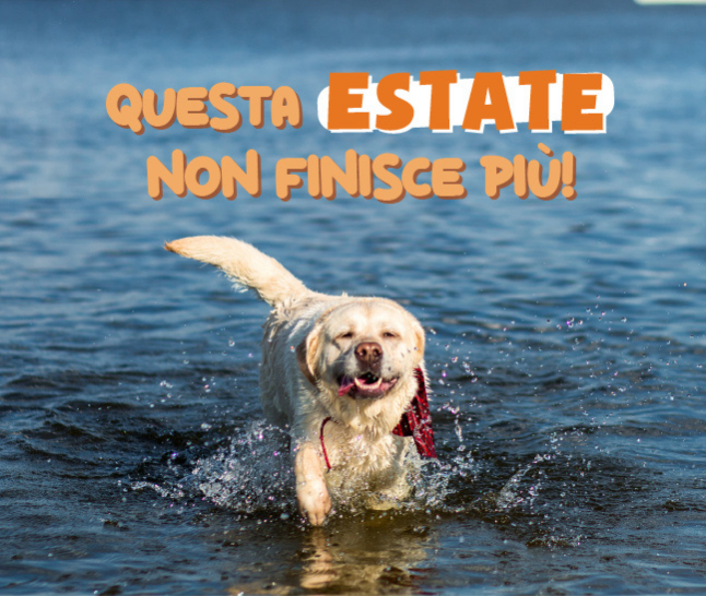 5% sull'intero carrello