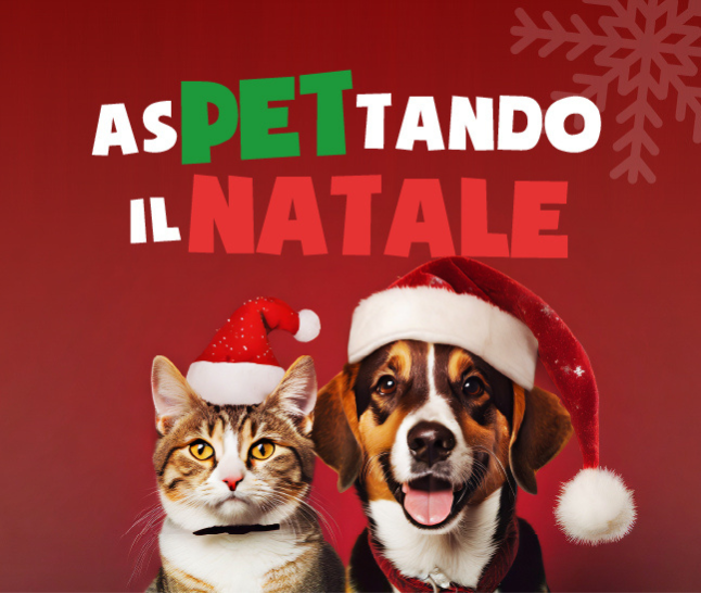 Jingle Bells Jingle Bells