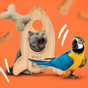 bauzaar ecommerce animali