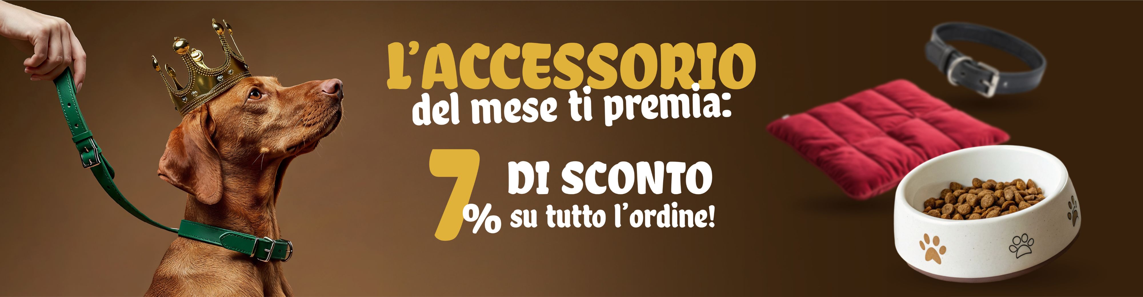 accessori-del-mese