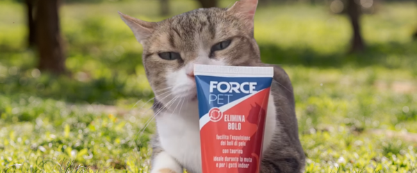 Forcepet