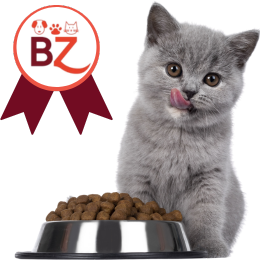 carnet kitten brand esclusivi