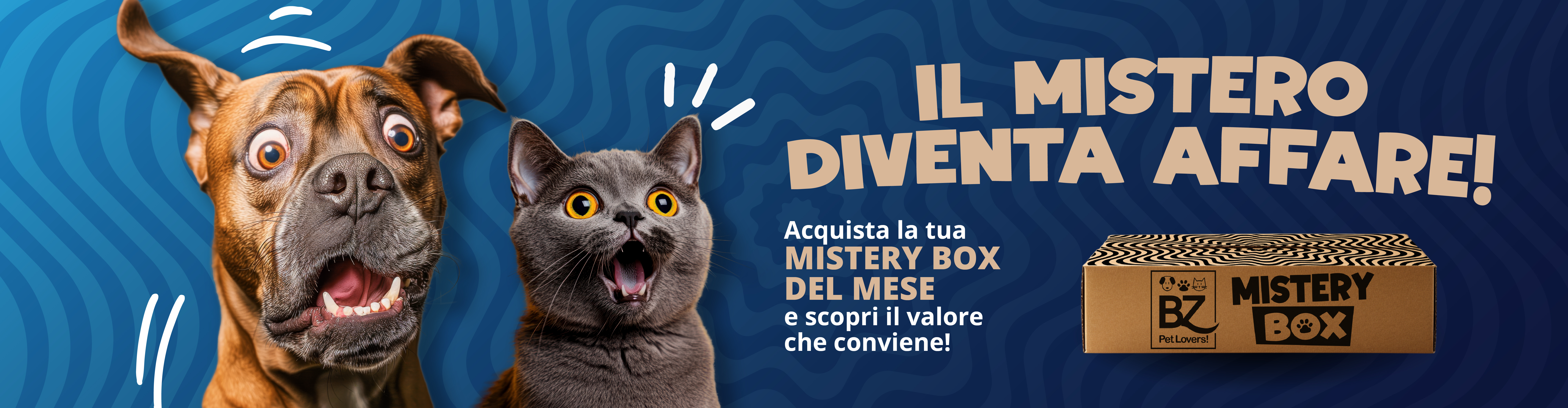 mystery-box