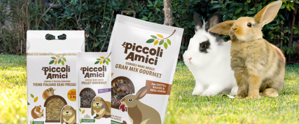 Piccoli Amici