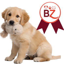 carnet puppy brand esclusivi