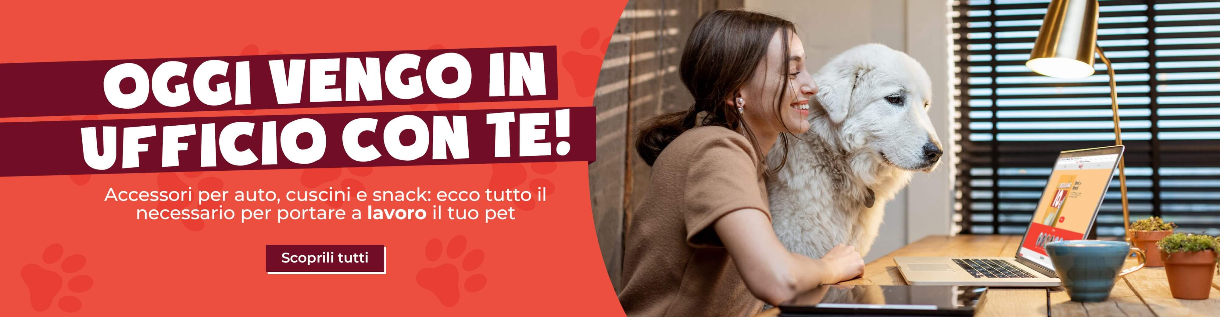 offerte