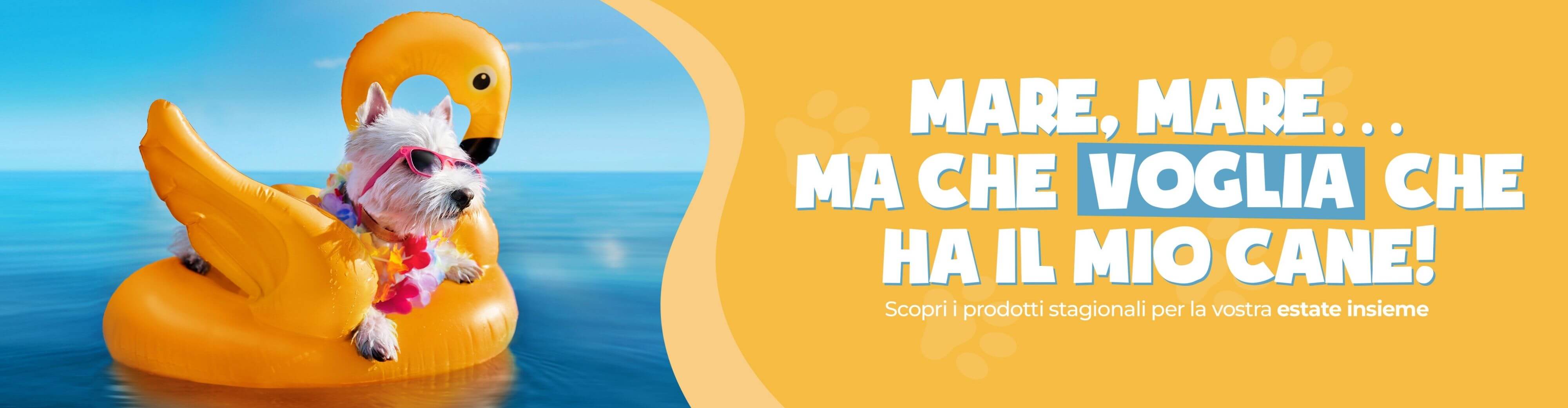 promoscorta