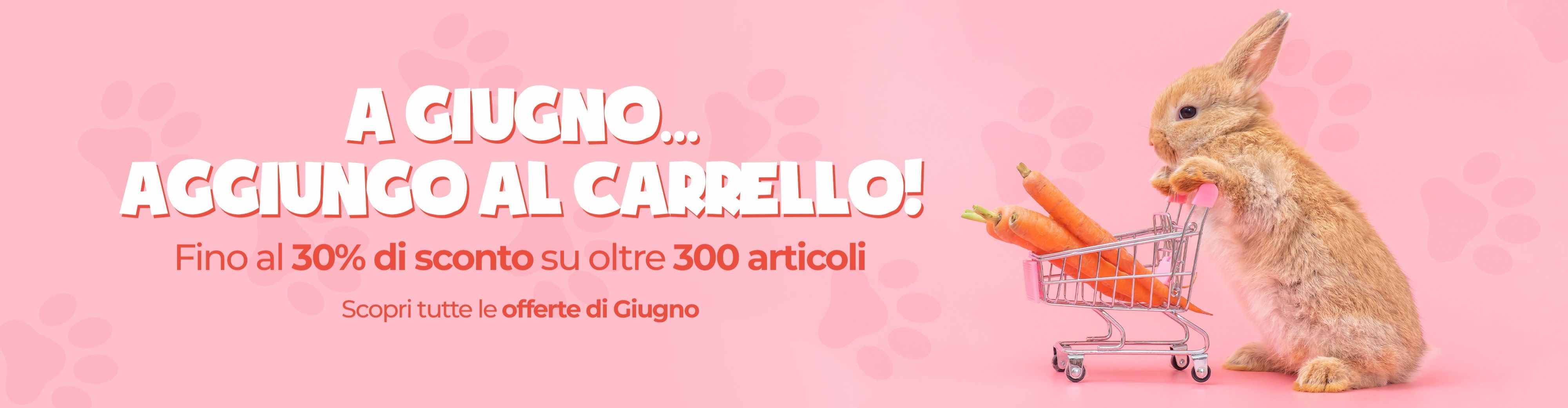 offerte